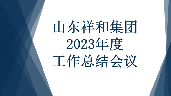 山东爱游戏体育最新官网（中国）股份有限公司召开2023年度工作总结会议